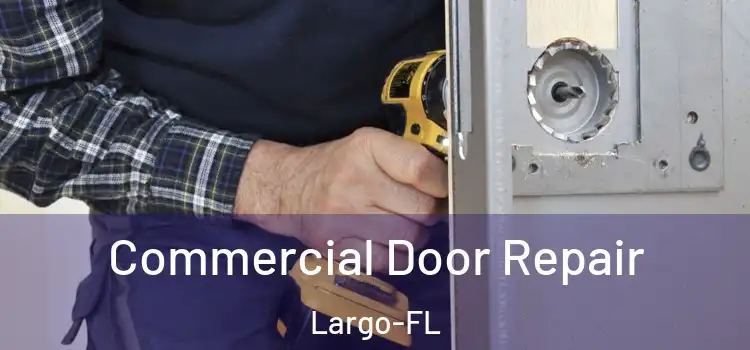 Commercial Door Repair Largo-FL