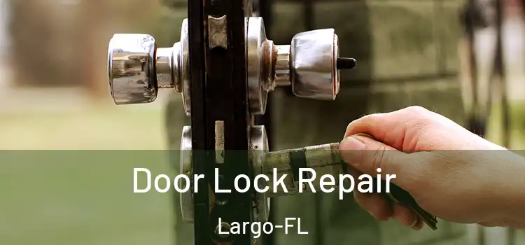  Door Lock Repair Largo-FL