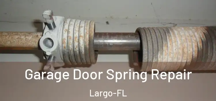  Garage Door Spring Repair Largo-FL