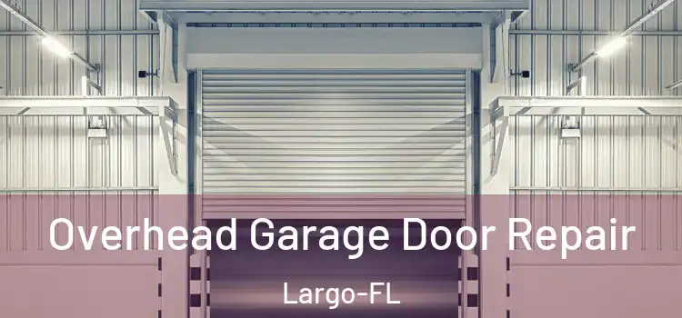  Overhead Garage Door Repair Largo-FL