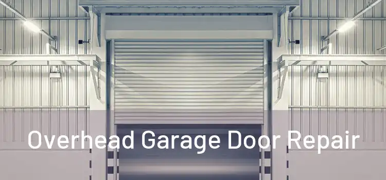  Overhead Garage Door Repair 