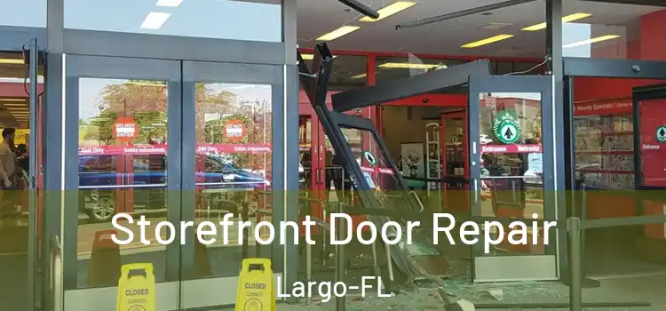  Storefront Door Repair Largo-FL